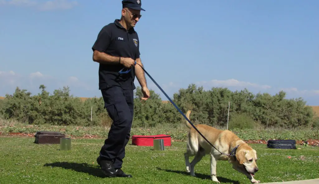 Police Dog Breed - The Canine Expert: