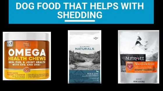 Dog Food That Helps With Shedding - The Canine Expert: