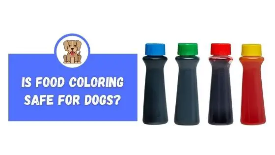 Is Food Coloring Safe For Dogs? - The Canine Expert: