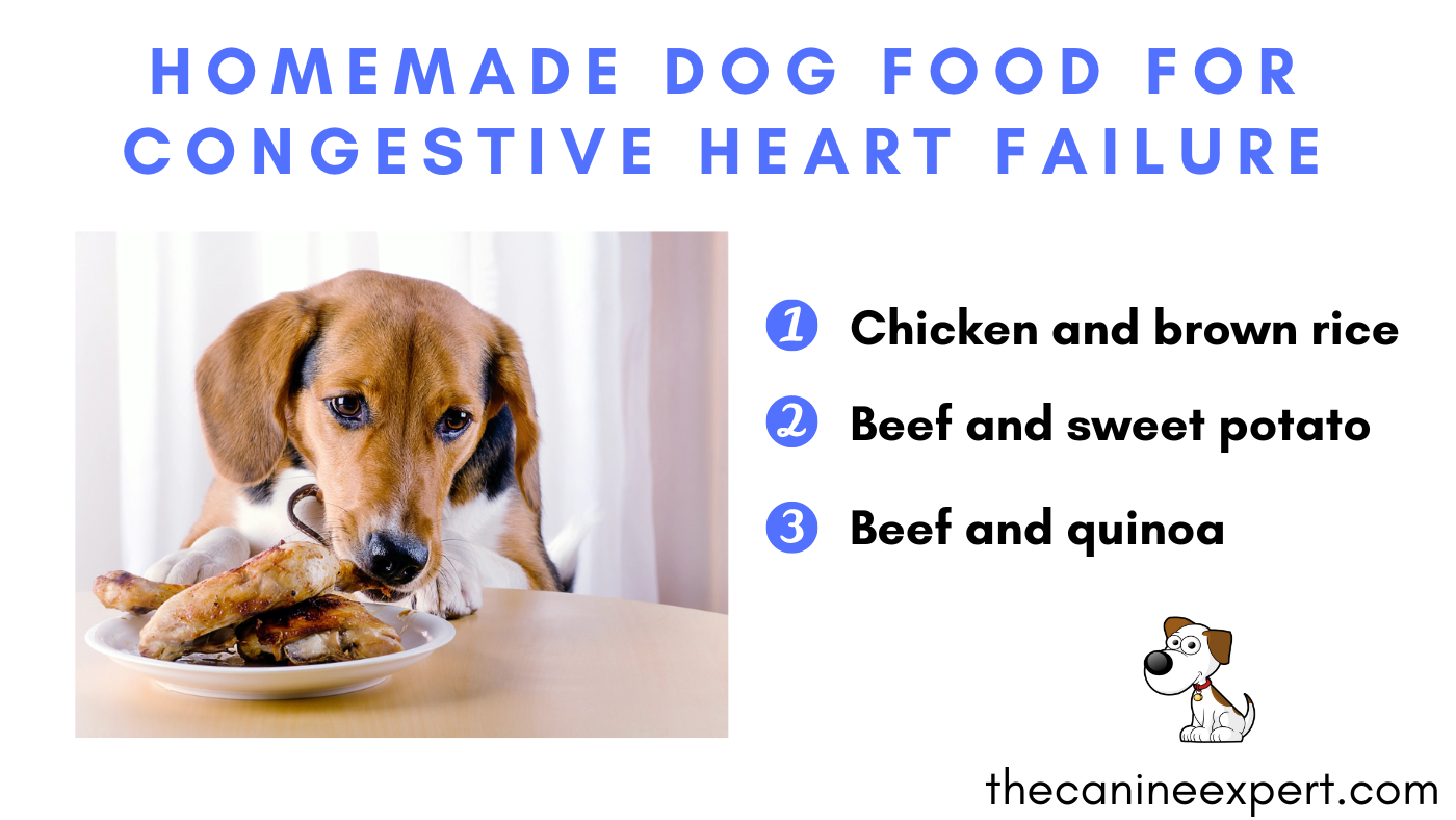 Homemade Dog Food for Congestive Heart Failure: Best easy recipes - The ...