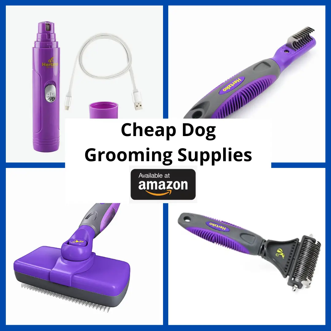 dog grooming supplies
